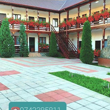Cris & Mona Hotel Săpînţa Exterior foto