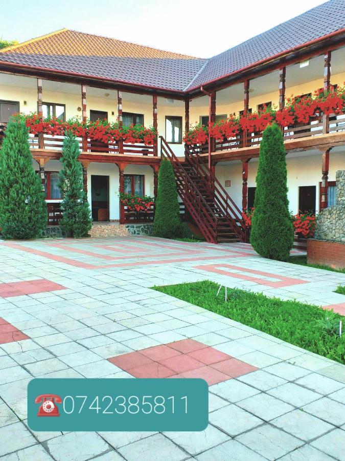 Cris & Mona Hotel Săpînţa Exterior foto