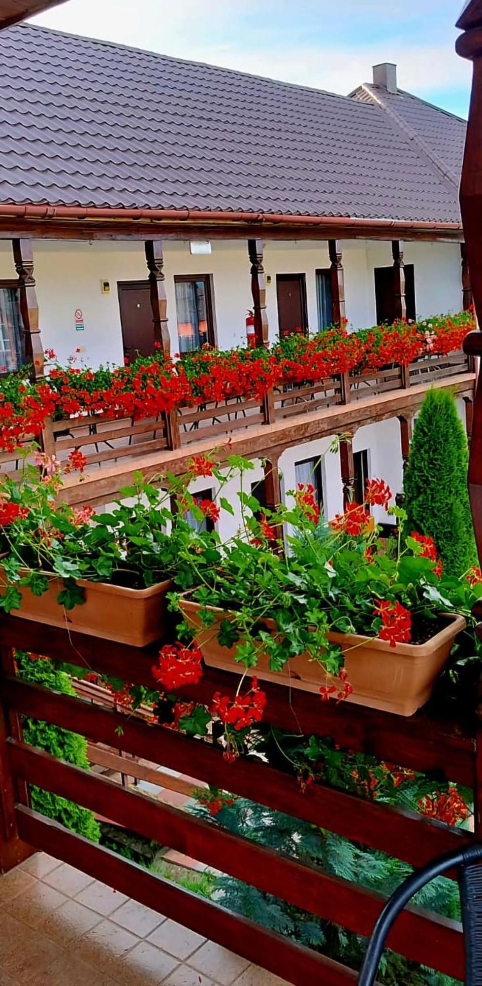 Cris & Mona Hotel Săpînţa Exterior foto