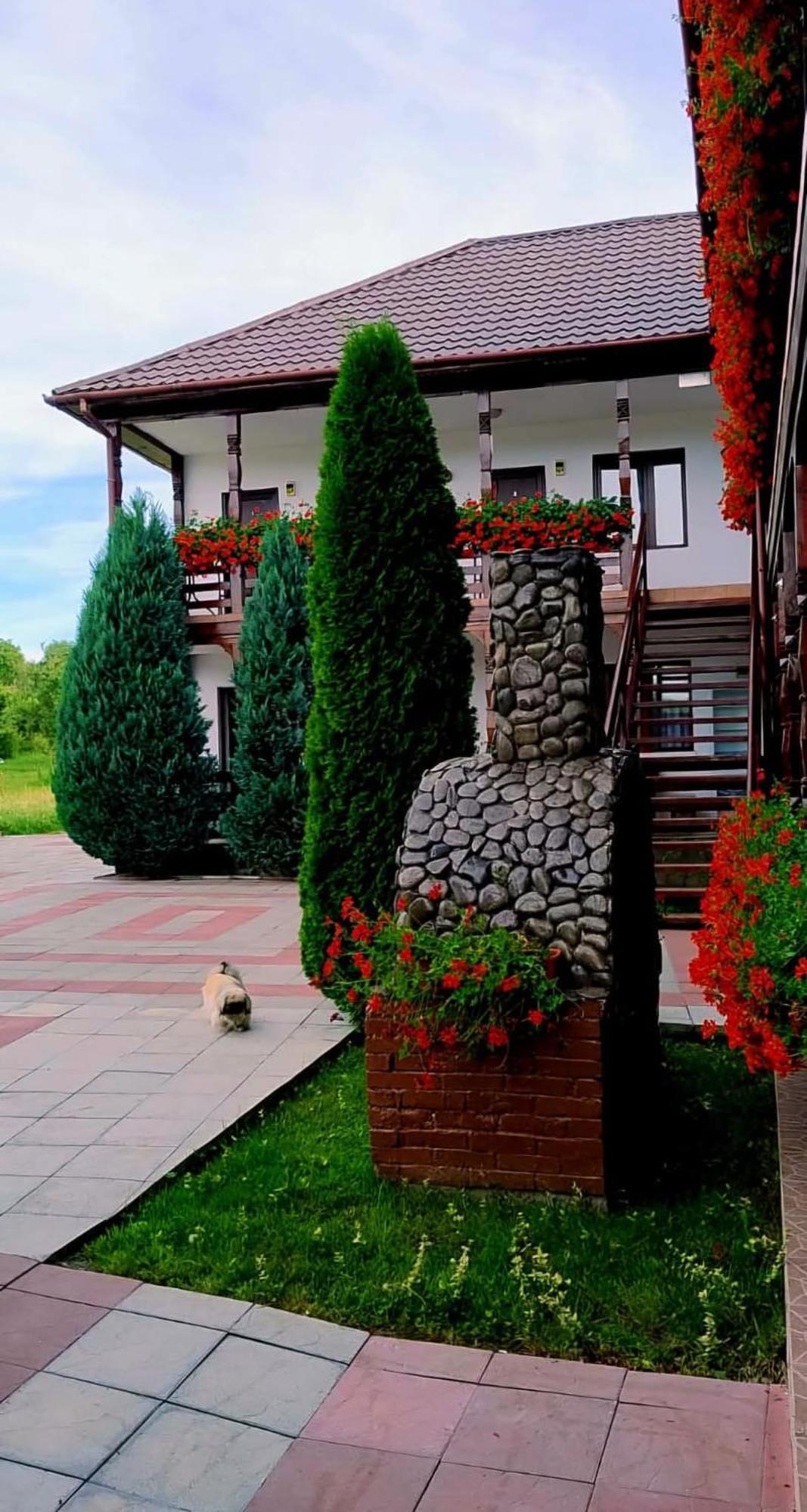 Cris & Mona Hotel Săpînţa Exterior foto
