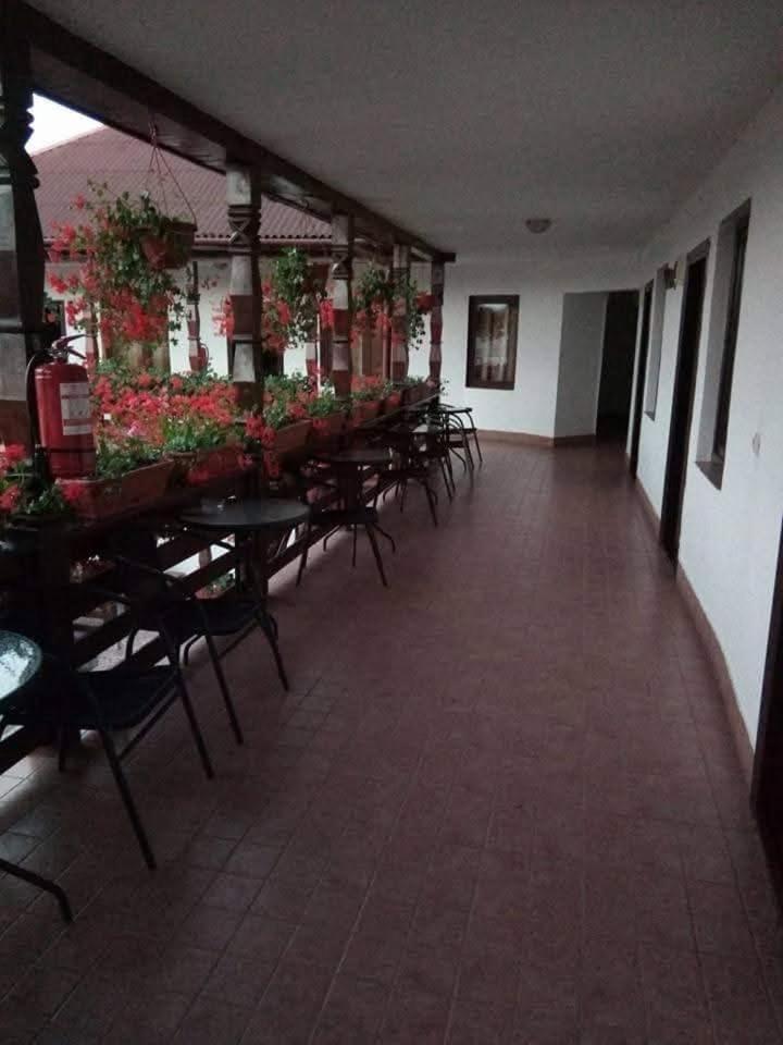 Cris & Mona Hotel Săpînţa Exterior foto