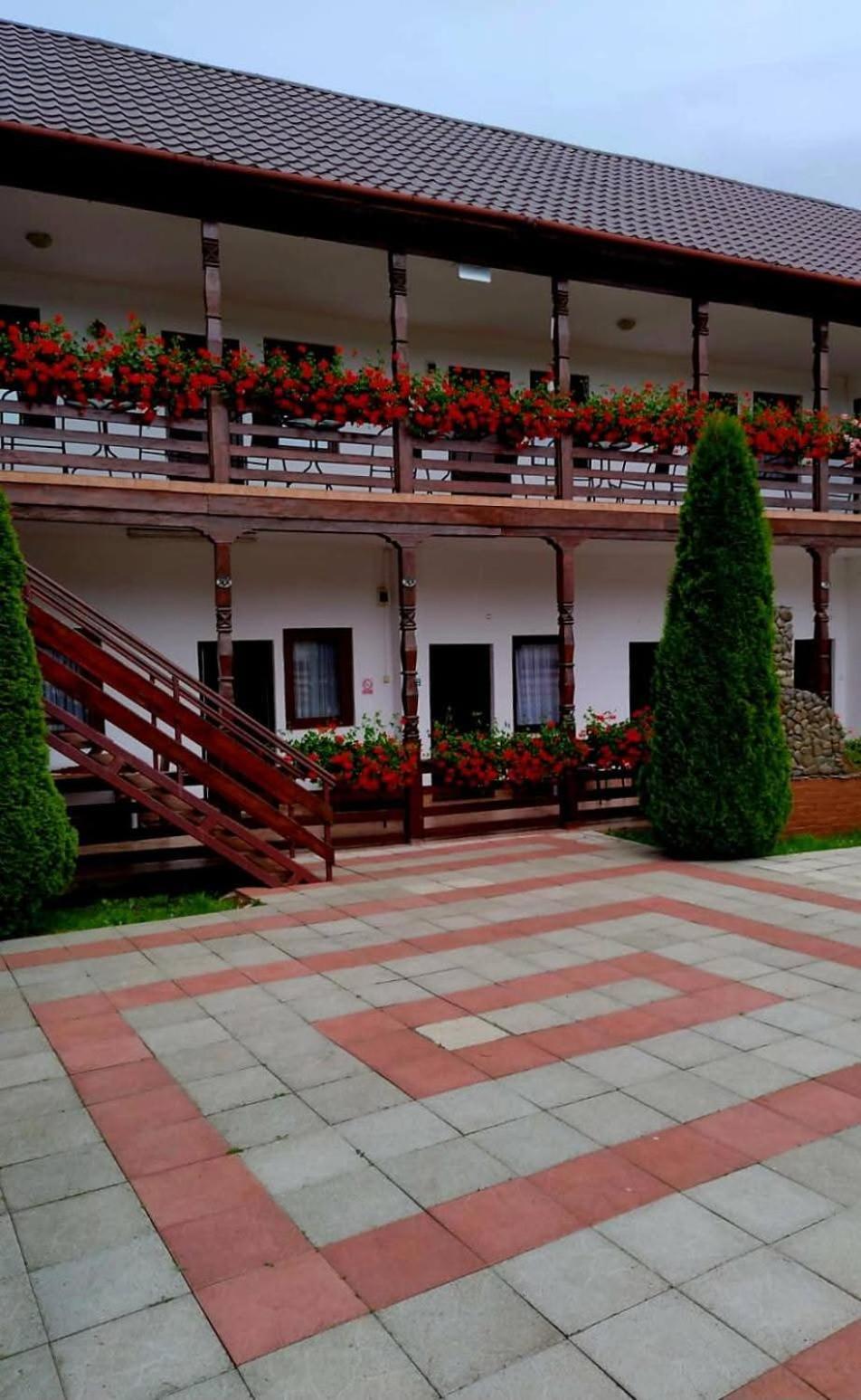 Cris & Mona Hotel Săpînţa Exterior foto